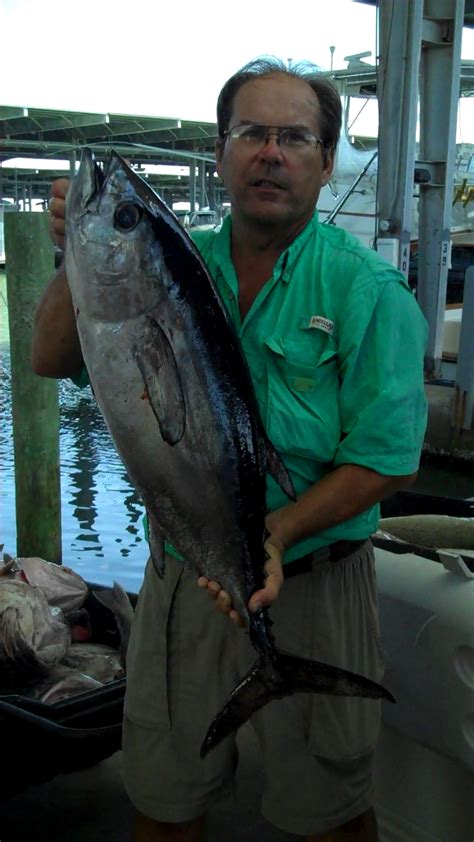 Blackfin Tuna – Mariner Consulting Services