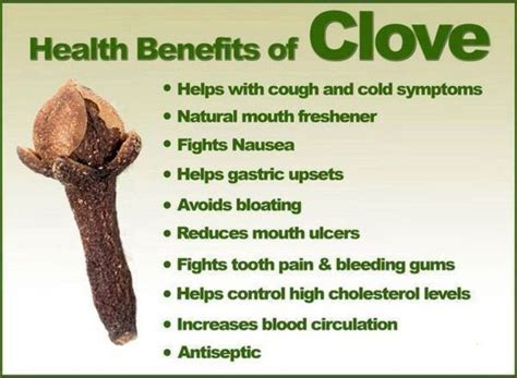 Cloves Spice Health Benefits at Cecil Hile blog