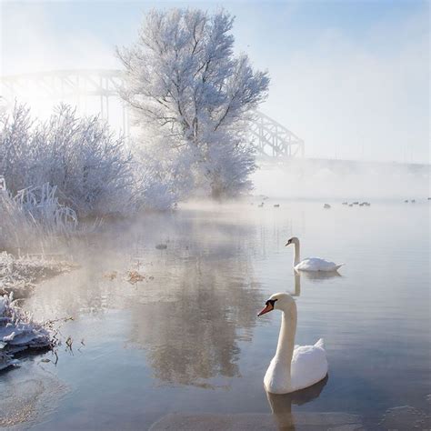 Beautiful Winter Landscapes | Others