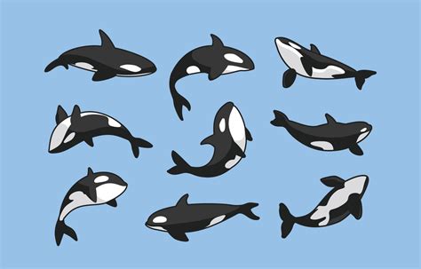 Whale Icon Set Collection 13700521 Vector Art at Vecteezy