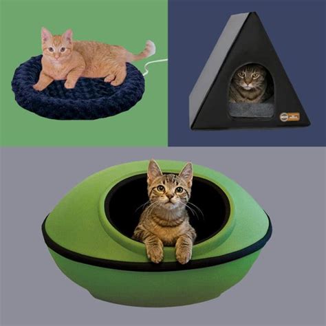 9 Best Heated Cat Beds | The Family Handyman