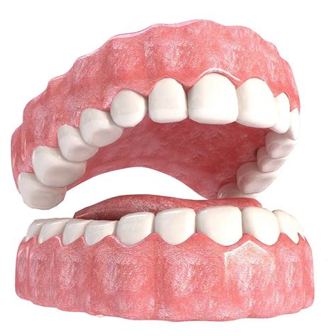 Realistic Mouth and Teeth - 3D Model by nvere