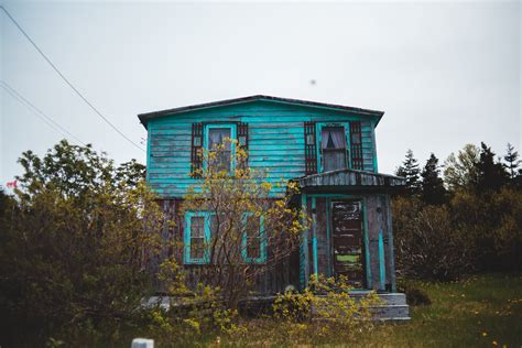 Abandoned house in forest during autumn day · Free Stock Photo