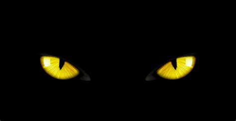 Black panther eyes background wild cat animal face 26836314 Vector Art at Vecteezy