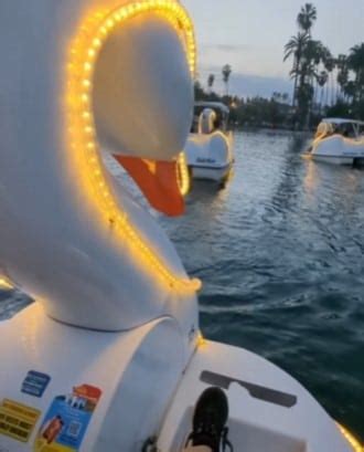 Sunset Swan Boat Rides in Echo Park | Wheel Fun Rentals