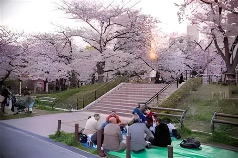 Top 15 Best Sakura Spots to visit in Japan - Spring in Japan