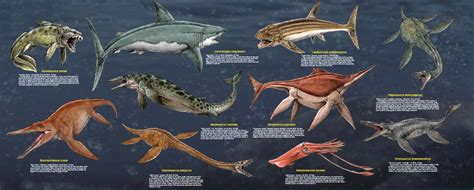 Marine animals list, Sea monsters, Marine animals