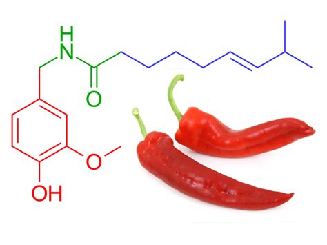 Capsaicin - MEpedia