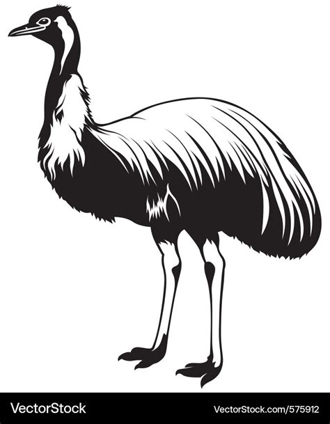 Ostrich emu Royalty Free Vector Image - VectorStock