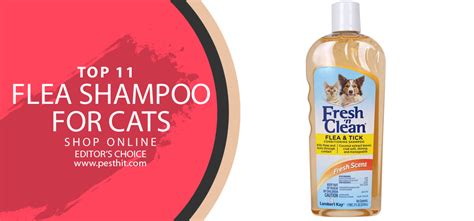 Best Flea Shampoo For Cat | Top 11 Flea Shampoo For Cats