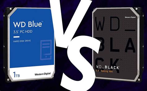 WD Blue vs Black | WePC