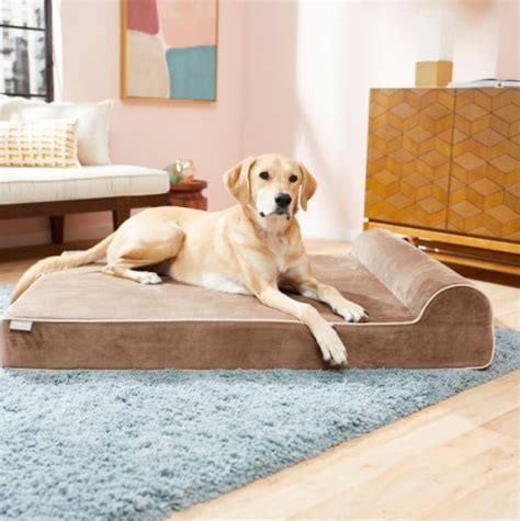 Memory Foam Dog Beds | The 10 Comfiest Memory Foam Dog Beds