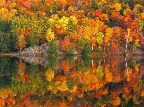 The Best Places to See Fall Foliage in New Hampshire's Lakes Region