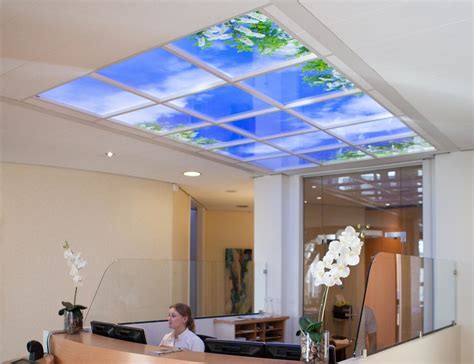 Sky Mural Ceiling Panels » Gadget Flow