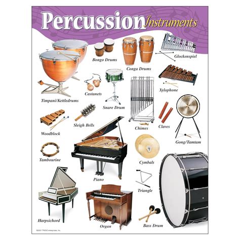 Buy Percussion Instruments Learning Chart Online at Low Prices in India ...