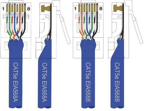 Cat 5 Cable Connector Wiring Diagram Cat5 Keystone Wiring Diagram / Wiring Schematic Diagram ...