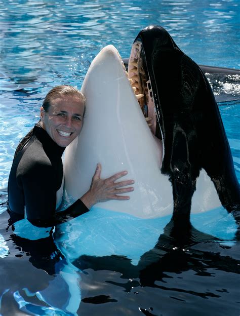 New killer whale show comes to Sea World despite trainer death