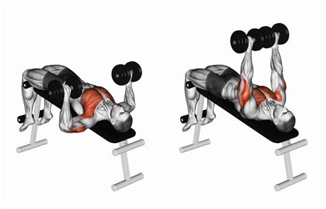 Decline Dumbbell Bench Press. Exercising for bodybuilding Target muscles are marked in red ...