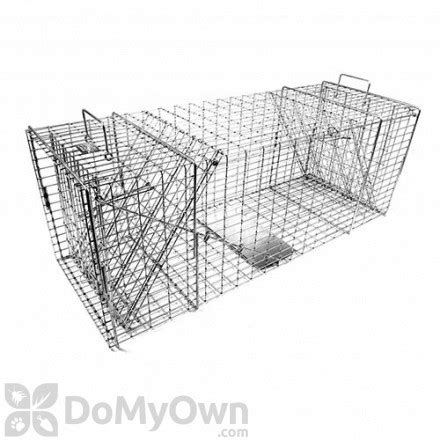 Bobcat Traps for Trapping Bobcats - Bobcat Live Cage Traps & Tips