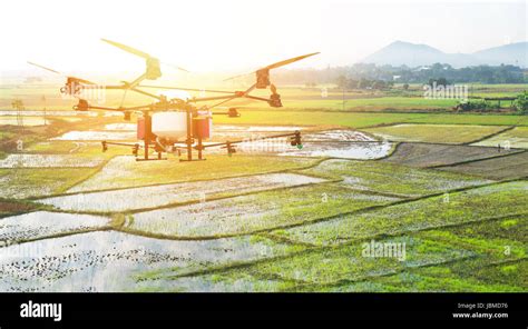 UAV , Agriculture drone technology , precision farming , surveying crops concept. Drone spray ...