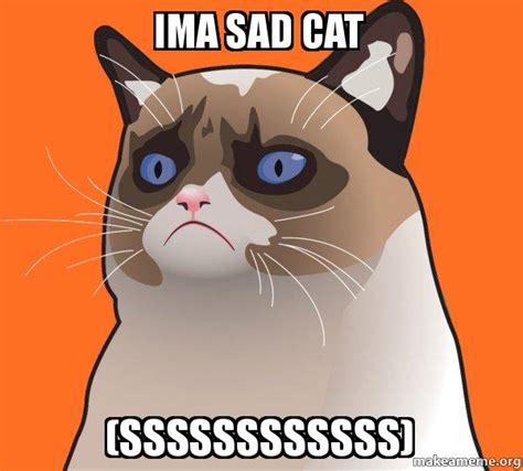 Ima sad cat (ssssssssssss) - Cartoon Grumpy Cat | Make a Meme