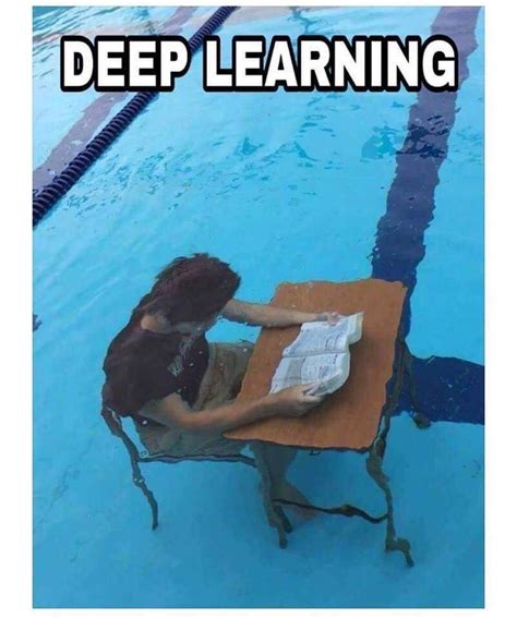 50 Hilarious Pool Memes To Get You Excited For The First Day Of Summer | Science memes, Computer ...