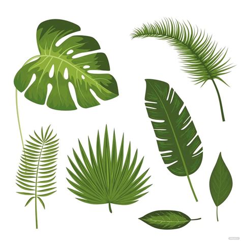 Tropical Leaves Vector in SVG, Illustrator, JPG, EPS, PNG - Download ...