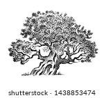 Old tree Silhouette Vector Clipart image - Free stock photo - Public ...