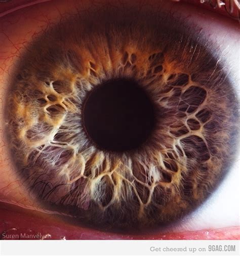 Extreme Human Eye Close-up | Macro photography eyes, Eye photography ...