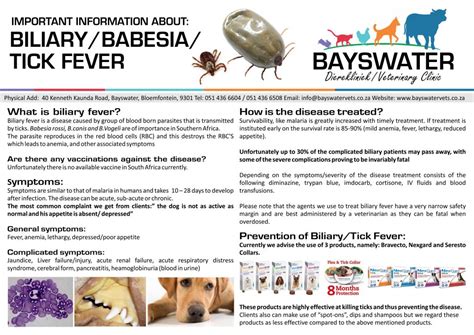 WHAT IS BILIARY/TICK BITE FEVER? | Bayswater Vets