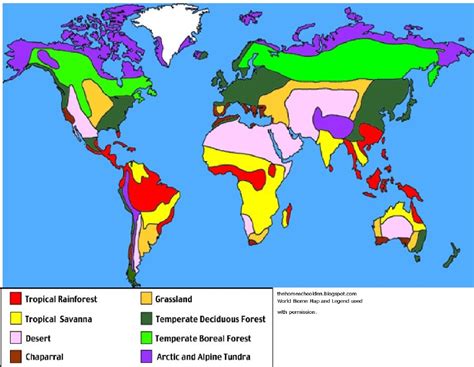 World Biome Map Coloring Worksheet