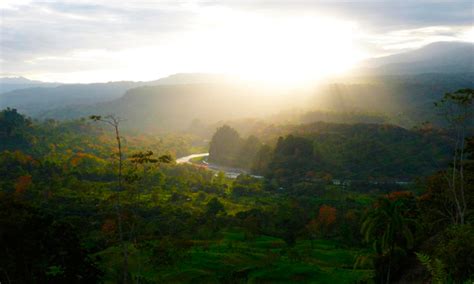 Conservation in Action at Costa Rica | The Jaguar Project