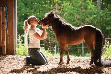 All About Miniature Horses - Young Rider Magazine