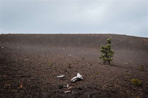 The Best 10 Hikes in Hawai'i Volcanoes National Park