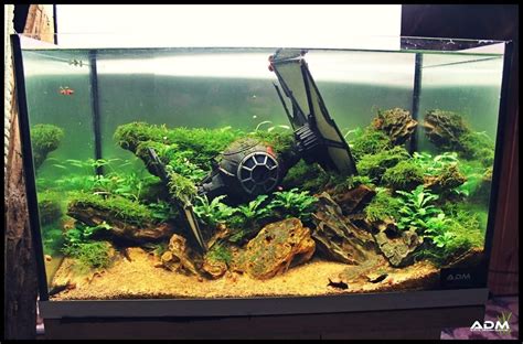 Pin by Marissa Bartlett on Planted Tank Ideas in 2020 | Fish tank themes, Cool fish tanks, Fish ...