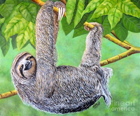 Hanging Sloth Painting by Caroline Street - Pixels