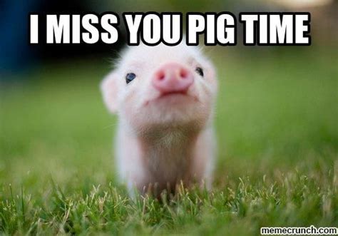 I Miss You Pig Time Pictures, Photos, and Images for Facebook, Tumblr ...