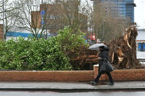 UK storm damage: Manchester, London, Wales hit by 70mph winds - pictures | Weather | News ...