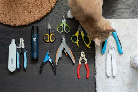 The 10 Best Cat Nail Clippers & Trimmers of 2024 - Your Best Digs