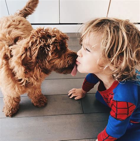 Teach Your Kids How to Treat the New Puppy! — The Puppy Academy