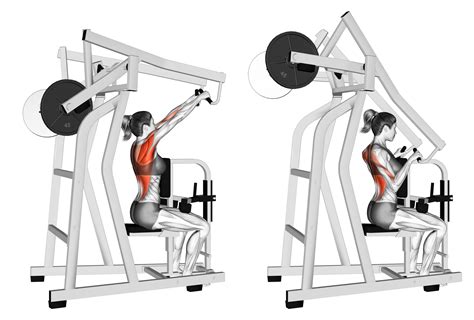 7 Best High Row Machine Alternatives (with Pictures!) - Inspire US