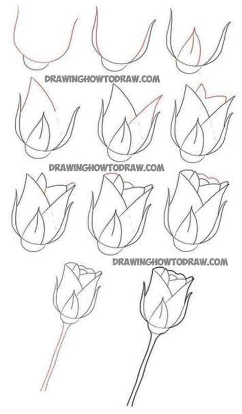 how to draw roses step by step Rose Drawing Simple, Roses Drawing, Plant Drawing, Painting ...