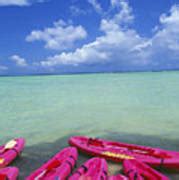 Many Pink Kayaks Photograph by Dana Edmunds - Printscapes - Fine Art America