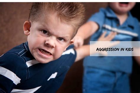 aggression in children _ Ayurvedum - Ayurvedum