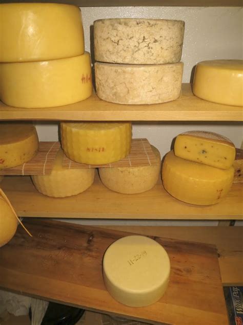 Bel Paese Recipe | Cheese making recipes, How to make cheese, Food to make