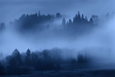 Foggy night II | Night forest, Mountain landscape, Cool landscapes