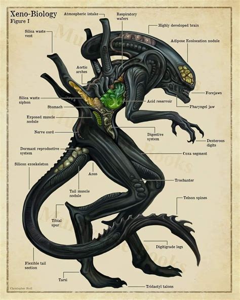 Pin by JC yakuza on SF geek | Aliens movie art, Predator alien art, Xenomorph