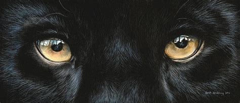 Black panther eyes Painting by Sarah Stribbling - Fine Art America