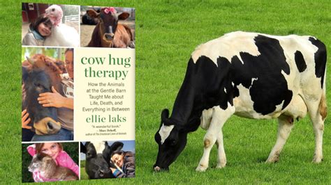 Book Review: Cow Hug Therapy - How The Animals At The Gentle Barn Taught Me About Life, Death ...