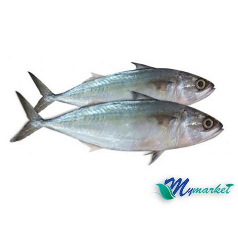 Ikan Kembung 500gm – My Market